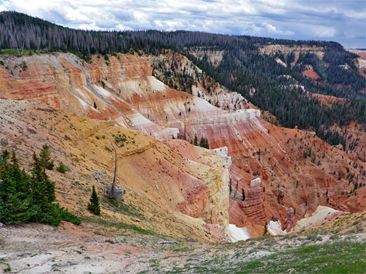 Photographs of Cedar Breaks National Monument