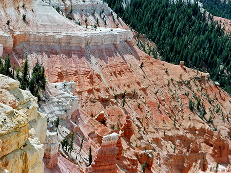 Photographs of Cedar Breaks National Monument