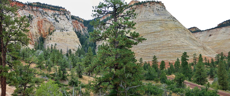 Photographs of Zion National Park