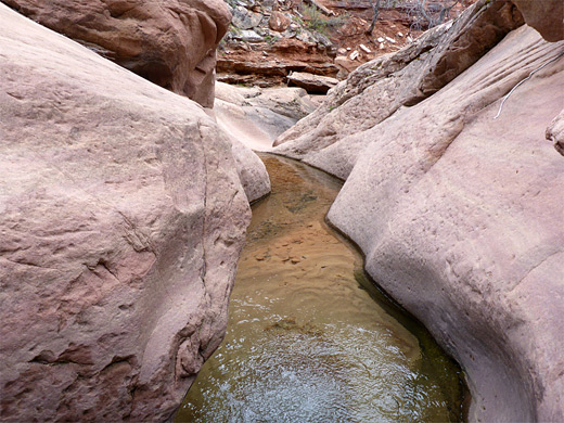 Shallow, slot-like channel in Coalpits Wash