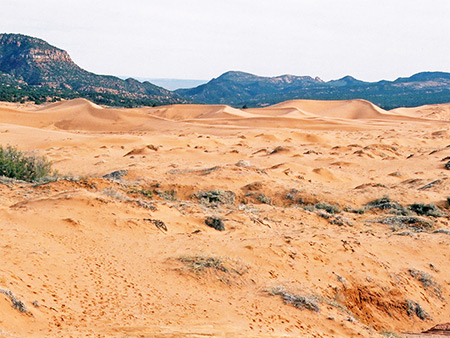 Photographs of Coral Pink Sand Dunes State Park