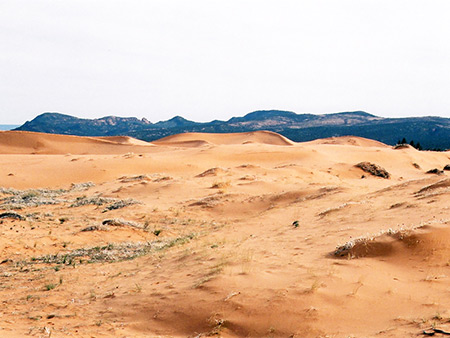 Photographs of Coral Pink Sand Dunes State Park