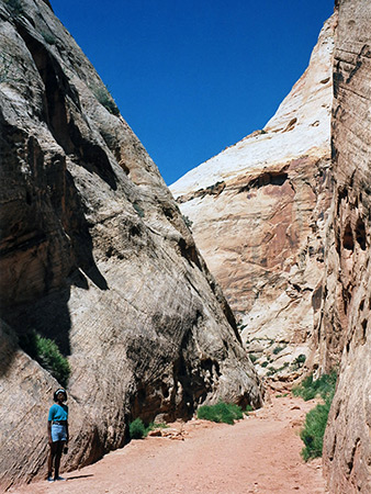 Photographs of Capitol Reef National Park