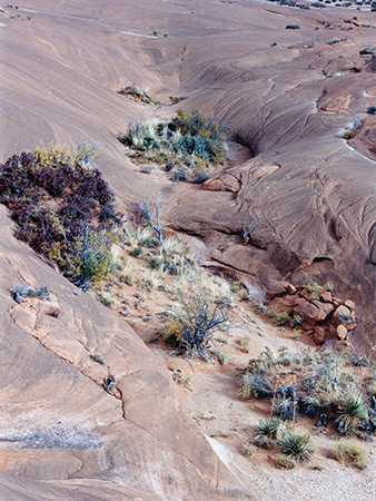 Photographs of Grand Staircase-Escalante National Monument