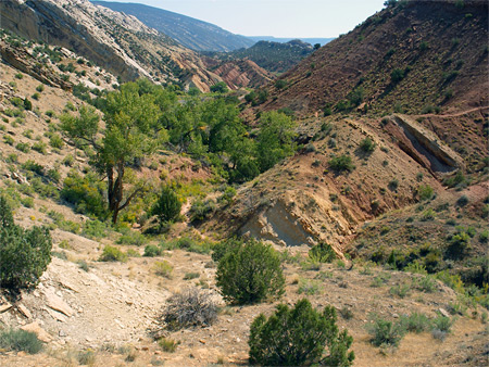 Photographs of Dinosaur National Monument