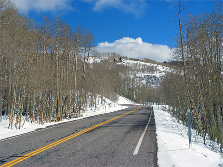 Photographs of Dixie National Forest