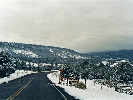 Photographs of Dixie National Forest