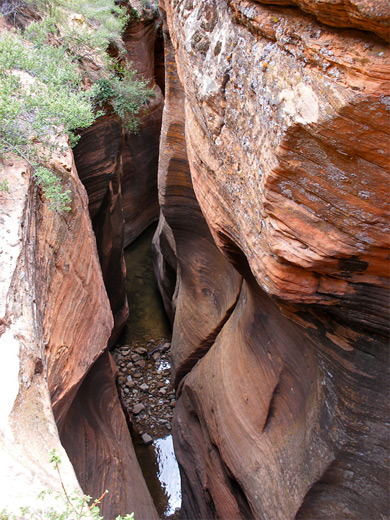 Pools in the middle narrows of Echo Canyon