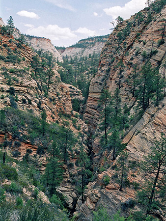Photographs of Zion National Park
