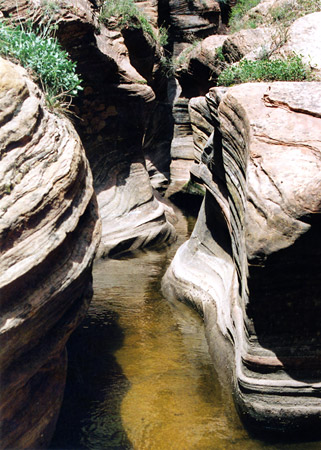 Photographs of Zion National Park