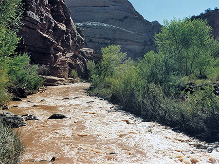 Photographs of Capitol Reef National Park