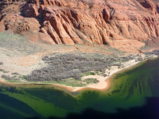 Green water of the Colorado River
