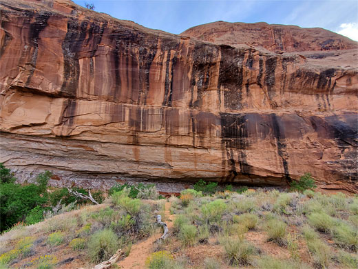 Streaked cliff of Navajo sandstone
