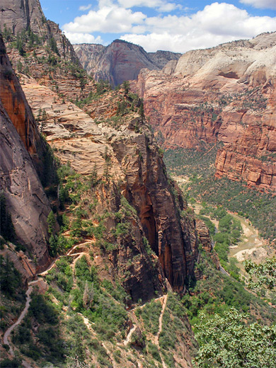 Zion Canyon, and the switchbacks of the East Rim Trail