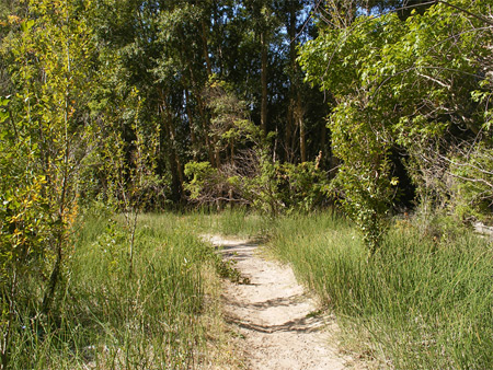 Photographs of Dinosaur National Monument