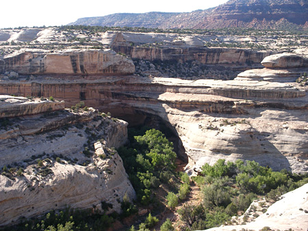 Photographs of Natural Bridges National Monument