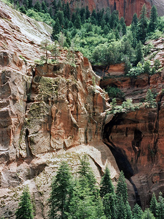 Photographs of Zion National Park