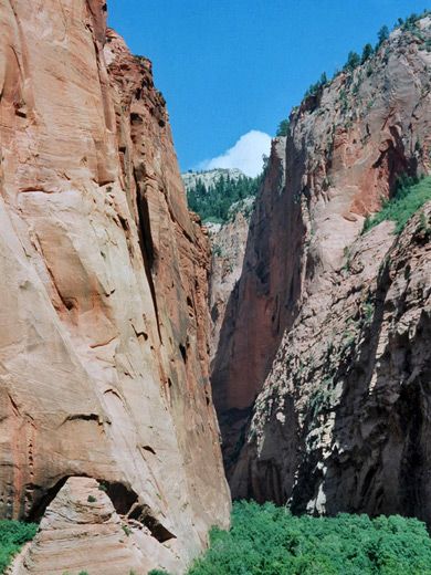 Sheer cliffs of Navajo sandstone
