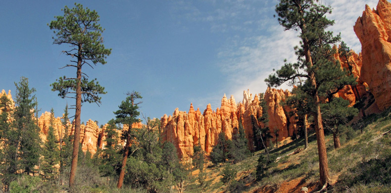 Pinnacles along the lowest section of the loop