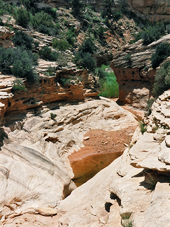 Photographs of Natural Bridges National Monument