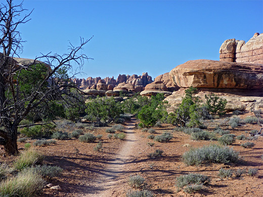 Start of the trail to Chesler Park and Druid Arch