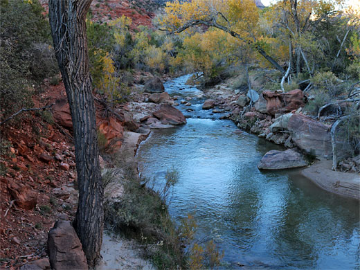 Calm water of the Virgin River