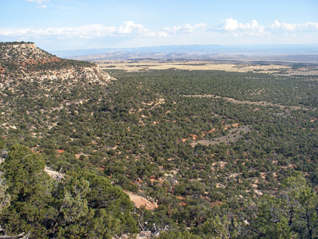 Photographs of Dinosaur National Monument