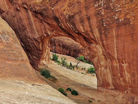 Photographs of Arches National Park