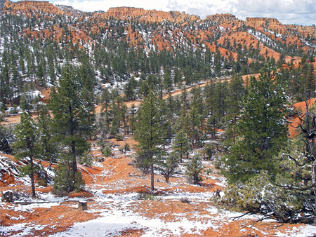 Photographs of Red Canyon