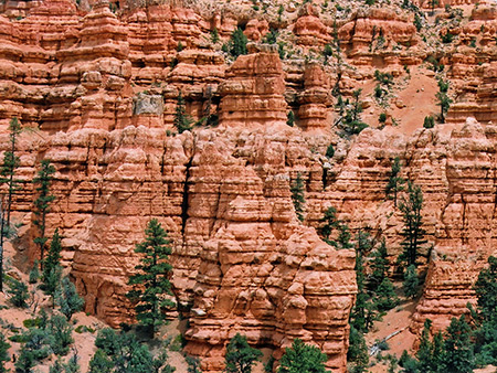Photographs of Red Canyon