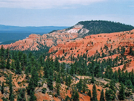 Photographs of Red Canyon