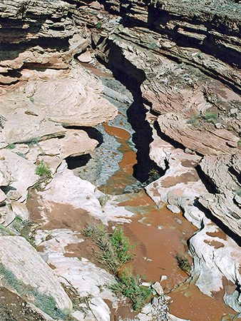 Photographs of Canyonlands National Park