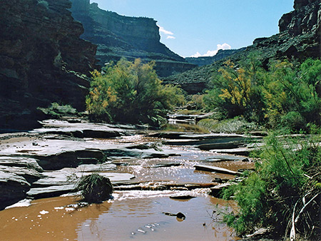 Photographs of Canyonlands National Park