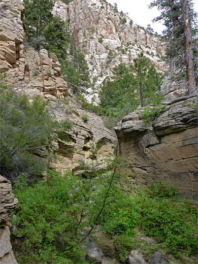 Narrow passageway below high cliffs of Navajo sandstone