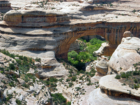 Photographs of Natural Bridges National Monument
