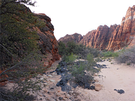 Photographs of Snow Canyon State Park
