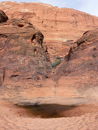 Photographs of Snow Canyon State Park