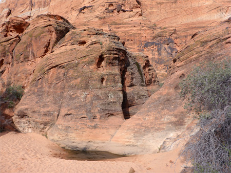 Photographs of Snow Canyon State Park
