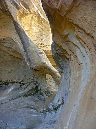 Arch in the north fork of the slot canyon 