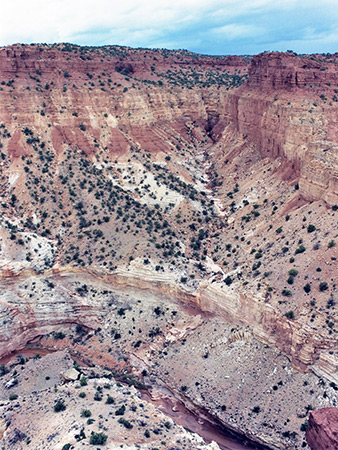 Photographs of Capitol Reef National Park