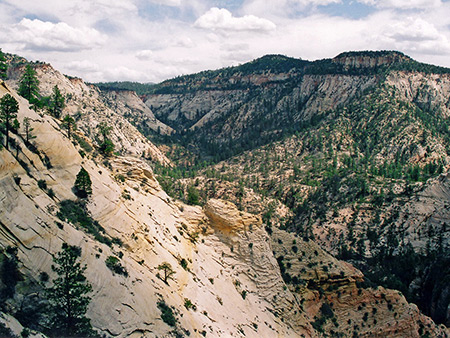 Photographs of Zion National Park