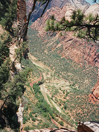Photographs of Zion National Park