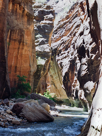Photographs of Zion National Park