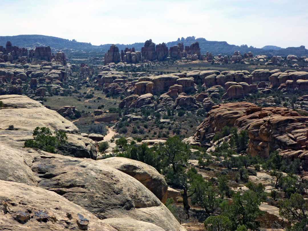 Valley west of Chesler Park