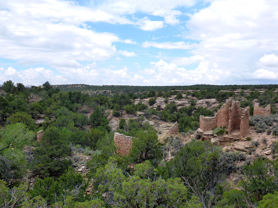 Wide view of the ruins