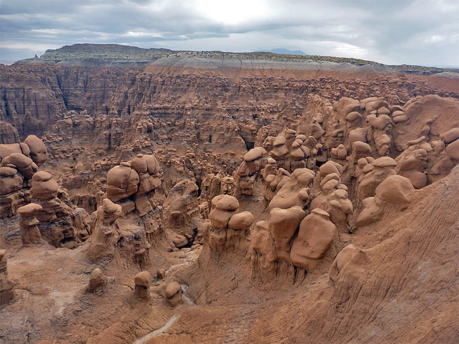 Hundreds of hoodoos