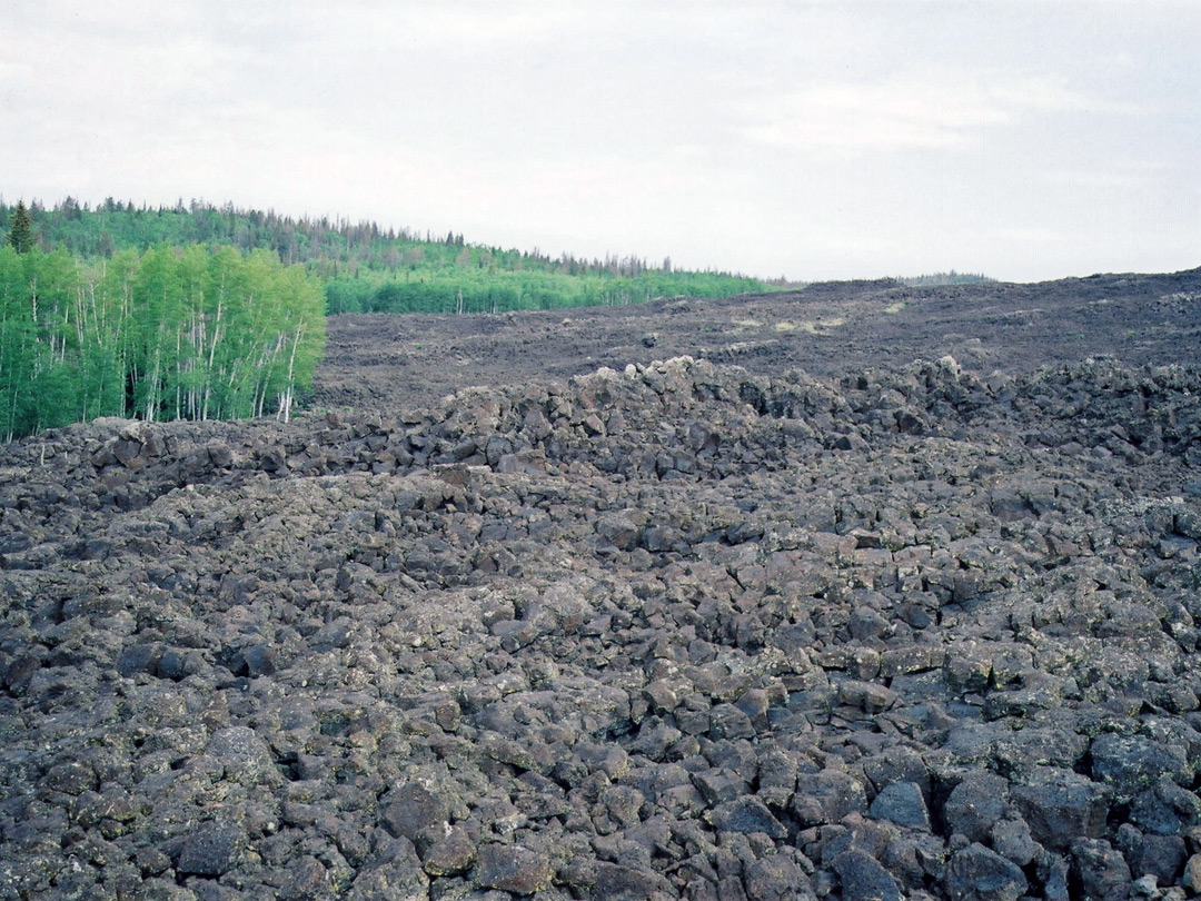 Lava field near Cedar Breaks