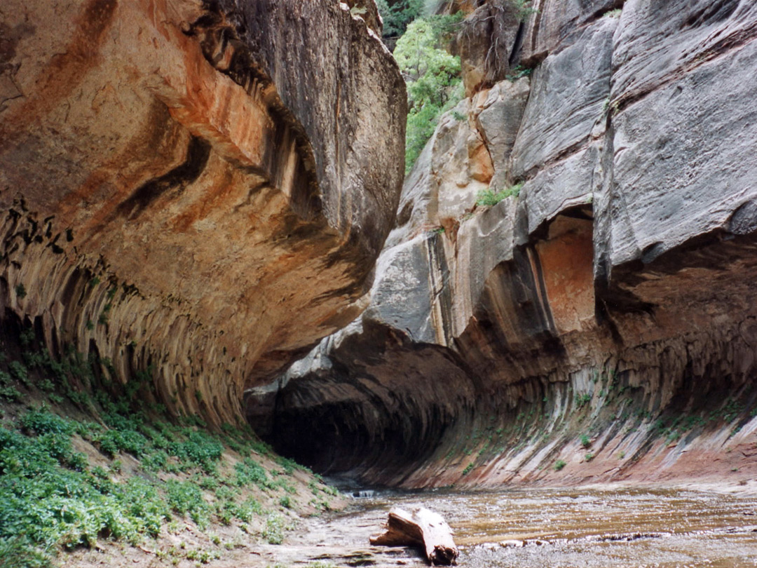 Photographs of Zion National Park