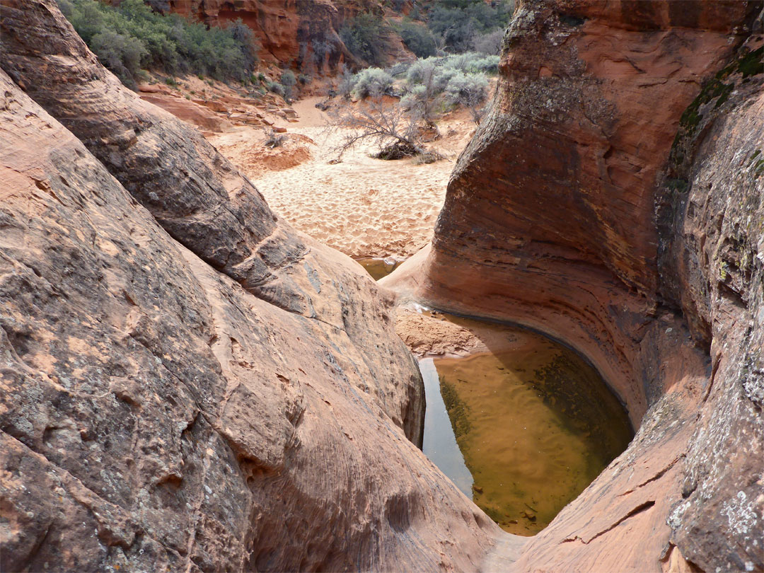 The middle pool