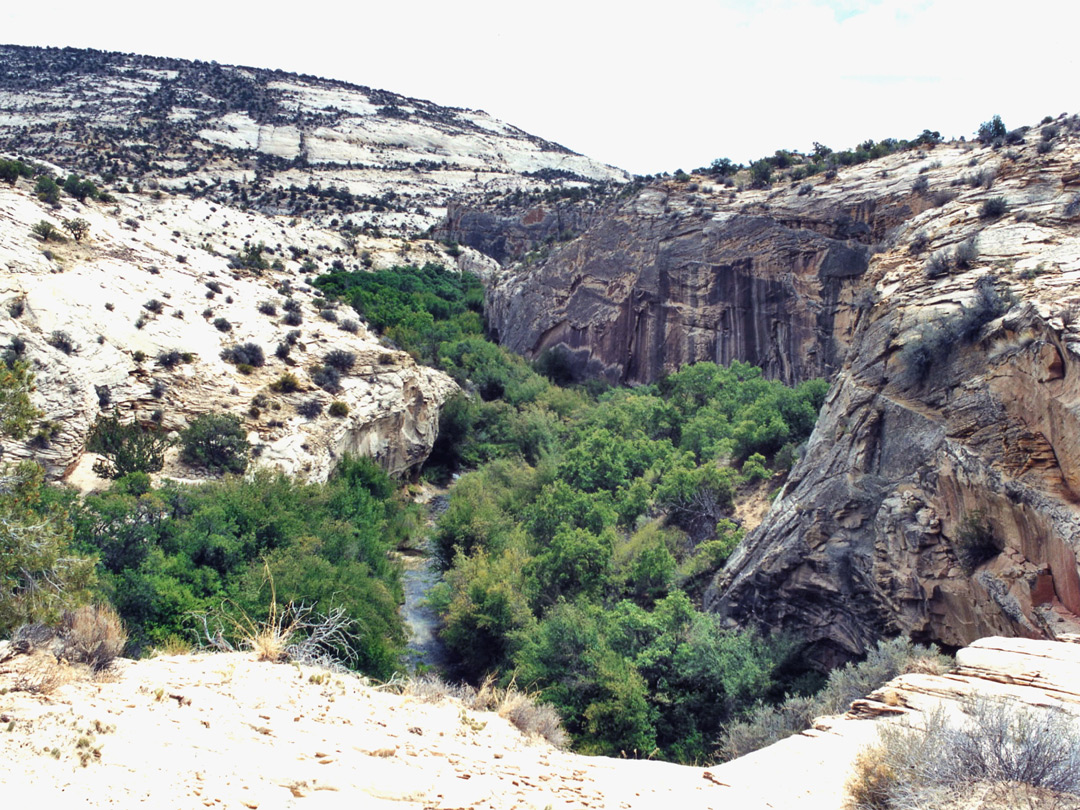 View down Calf Creek Canyon